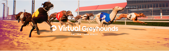 Galgo virtual Galgo virtual